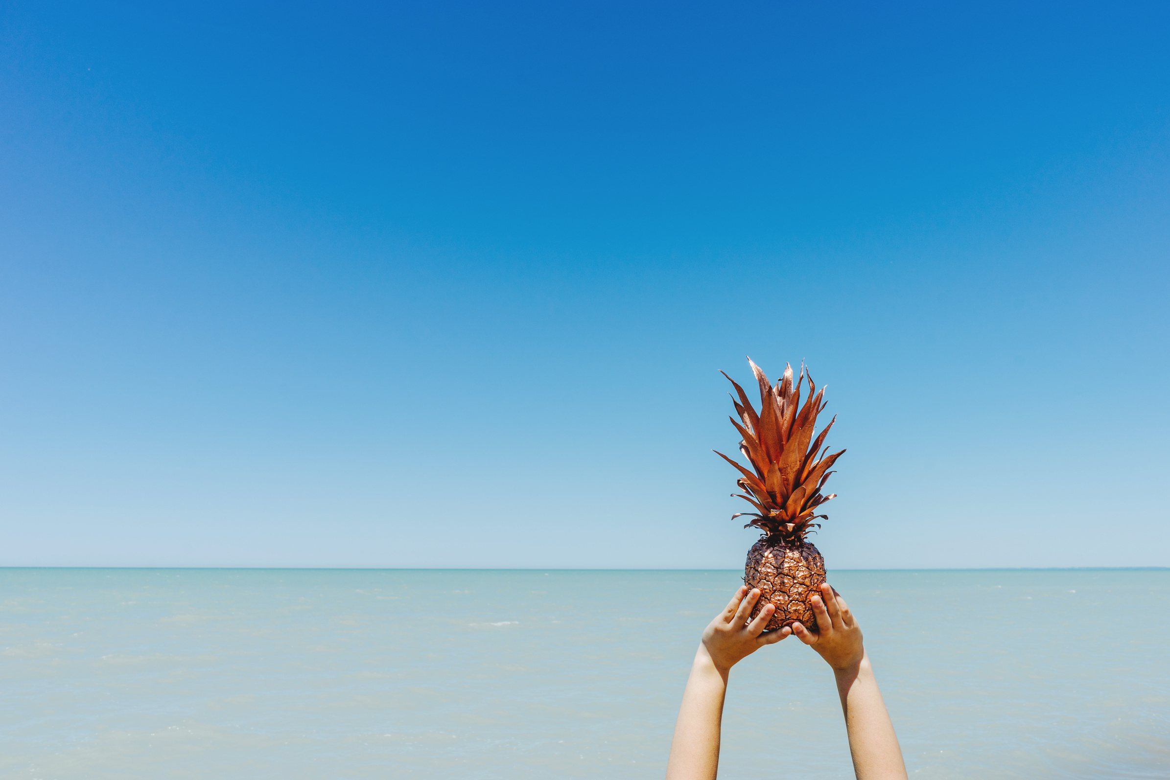 Person Holding Lifted Pineapple Fruit